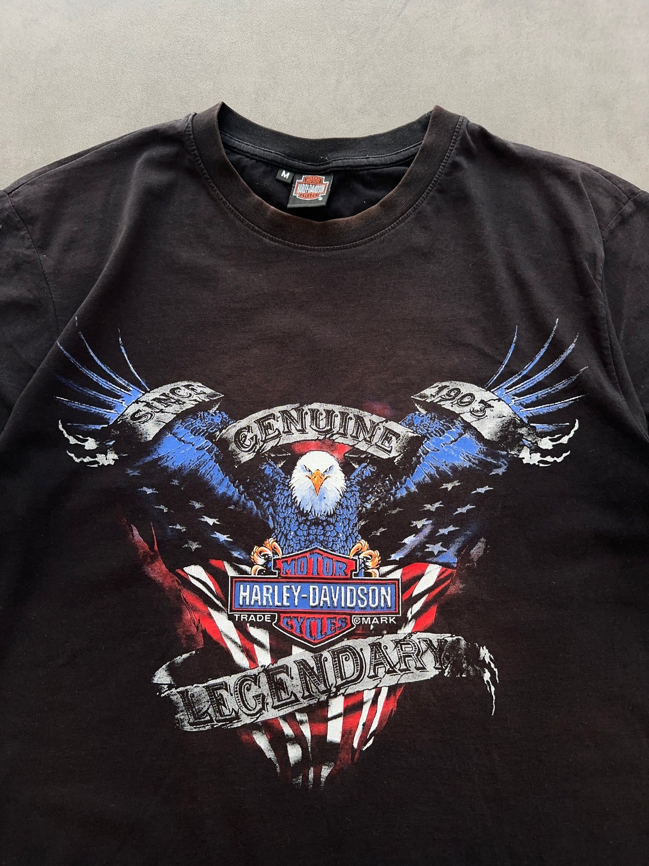 2000s Harley Davidson tee (M)