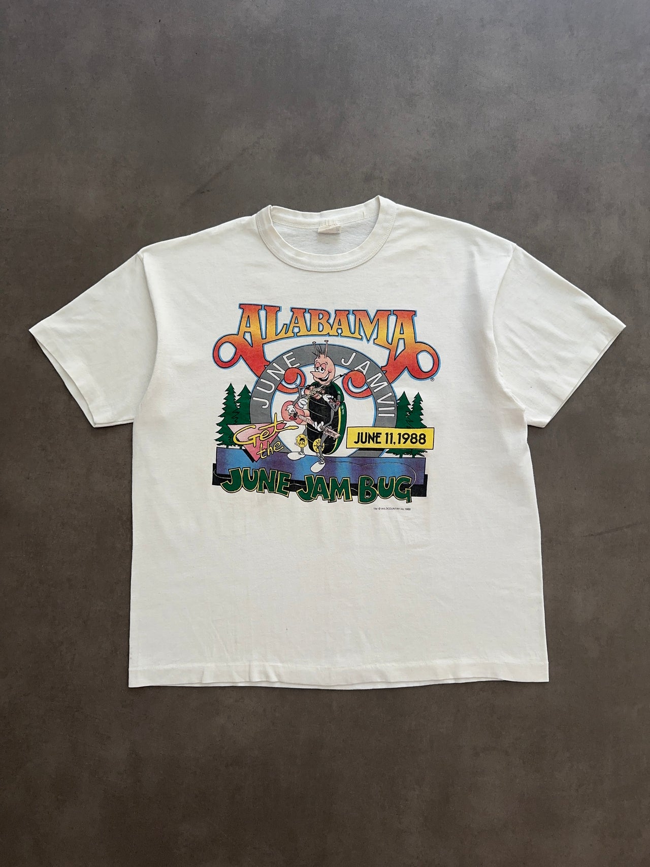 1980s Alabama June Jam tee (M)