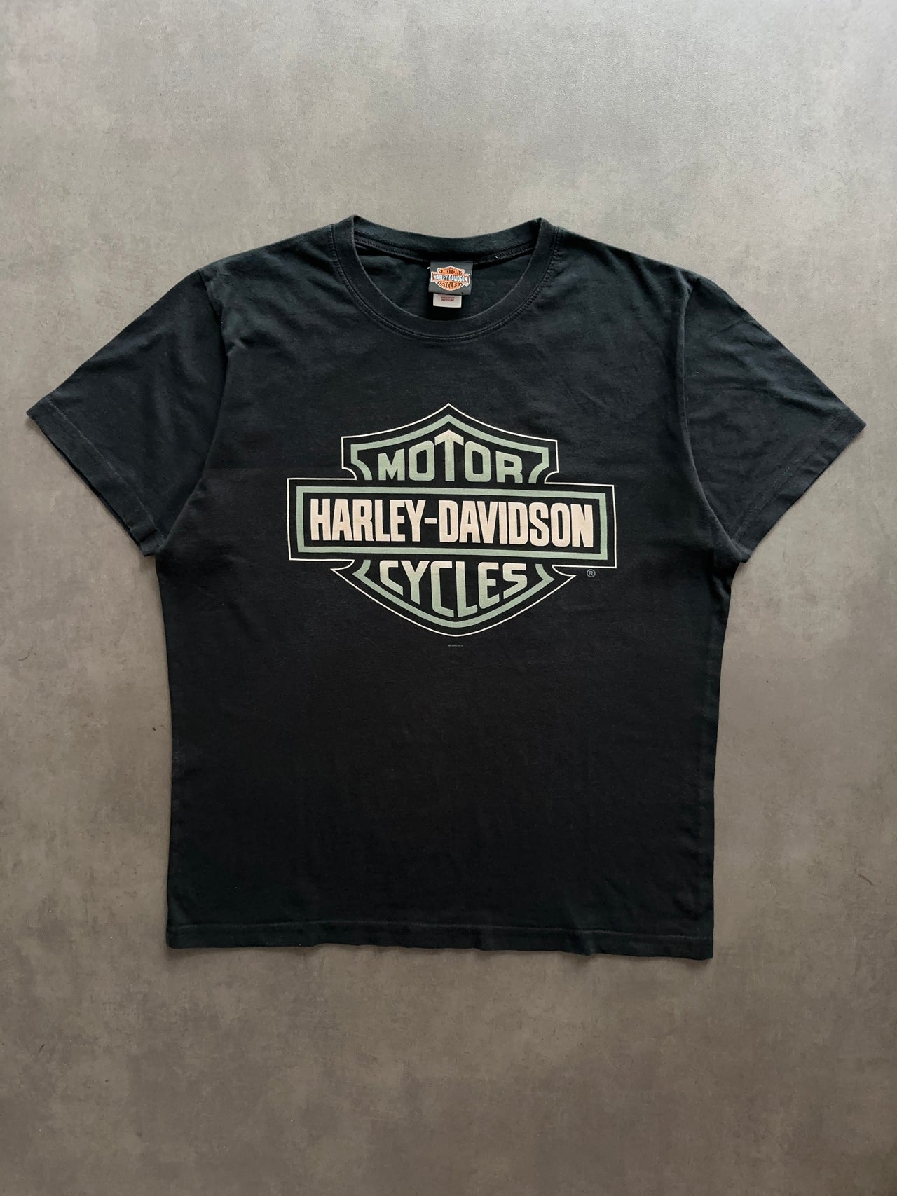 2000s Harley Davidson tee (L)