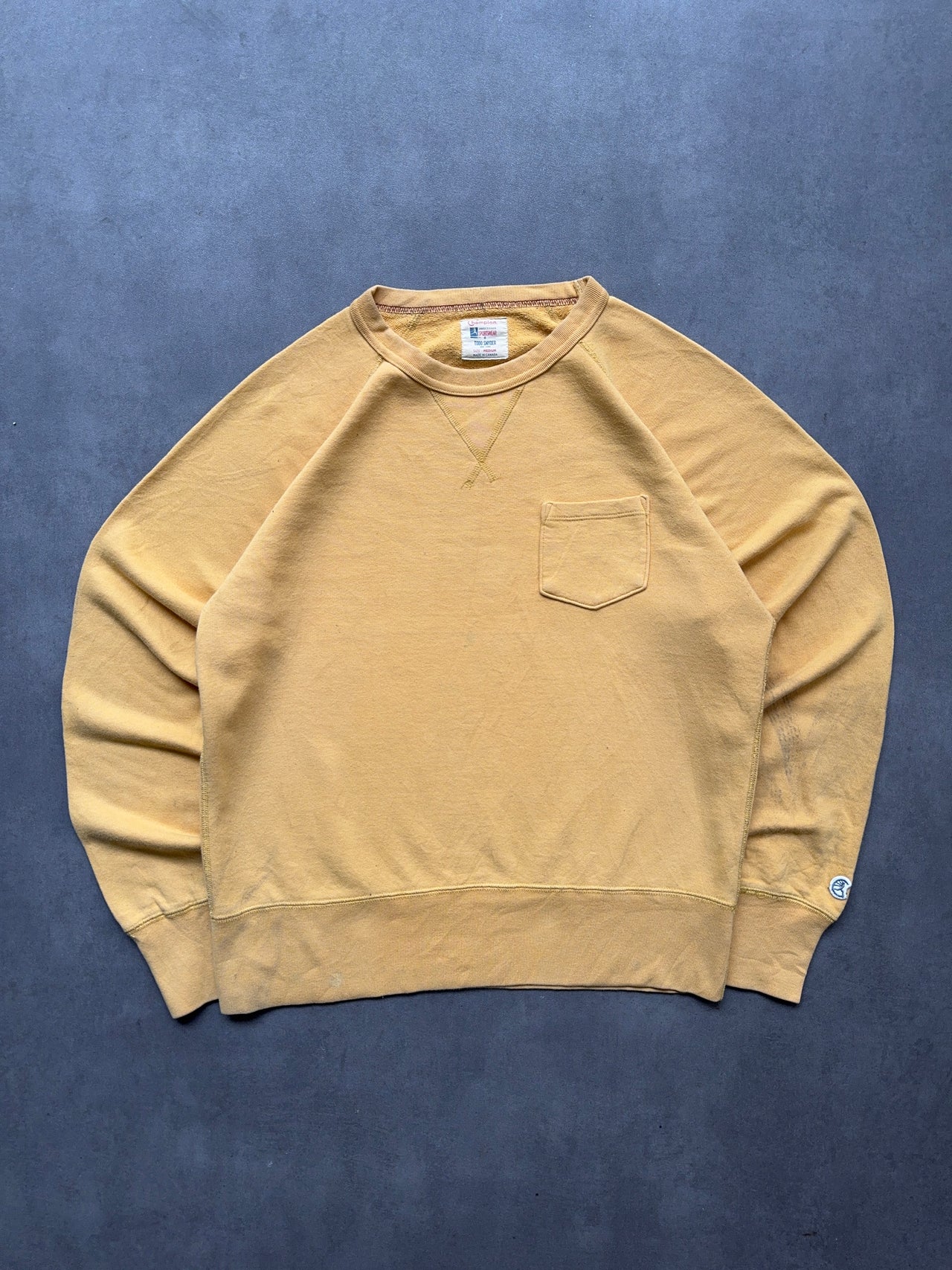 2000s Champion Sweatshirt (M)