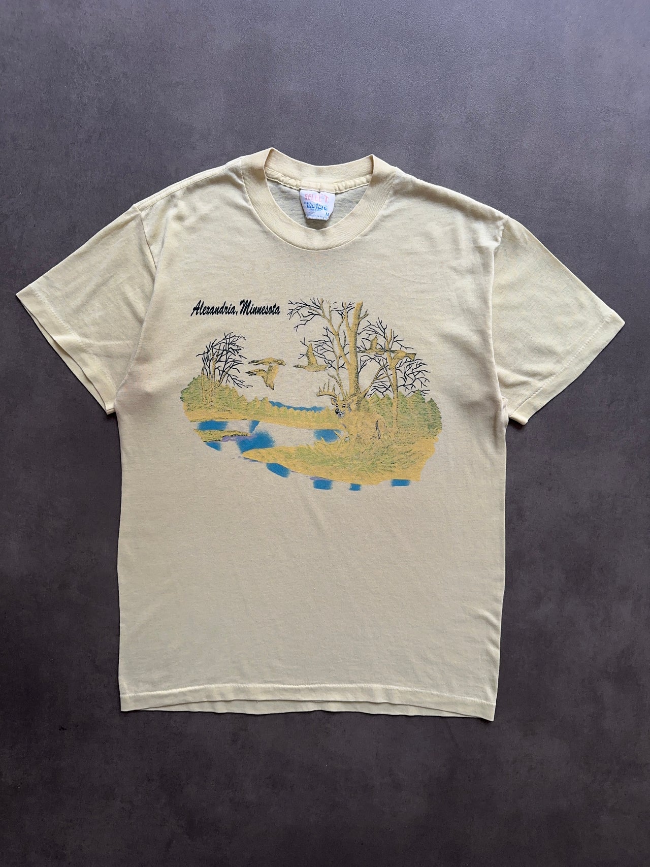 1990s Minnesota tee (M)
