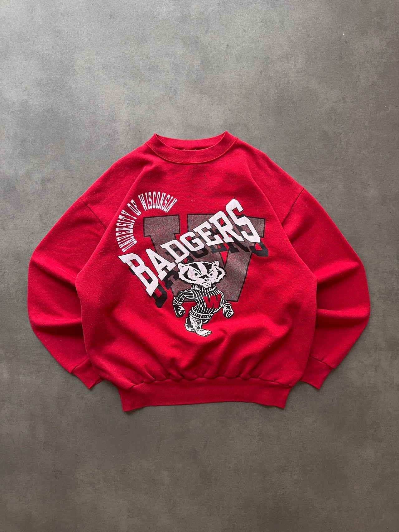 1990s University of Wisconsin crewneck (L)