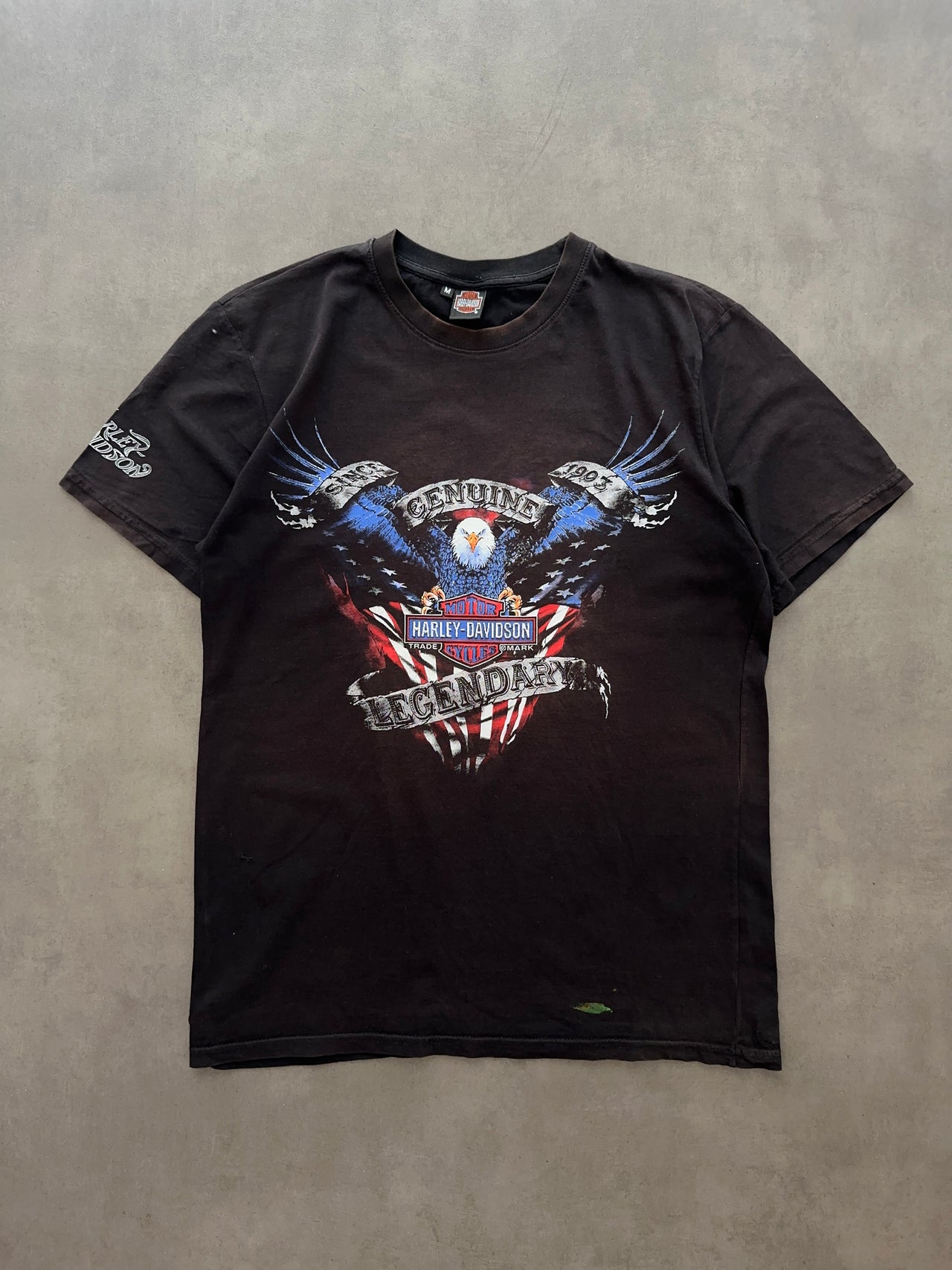 2000s Harley Davidson tee (M)