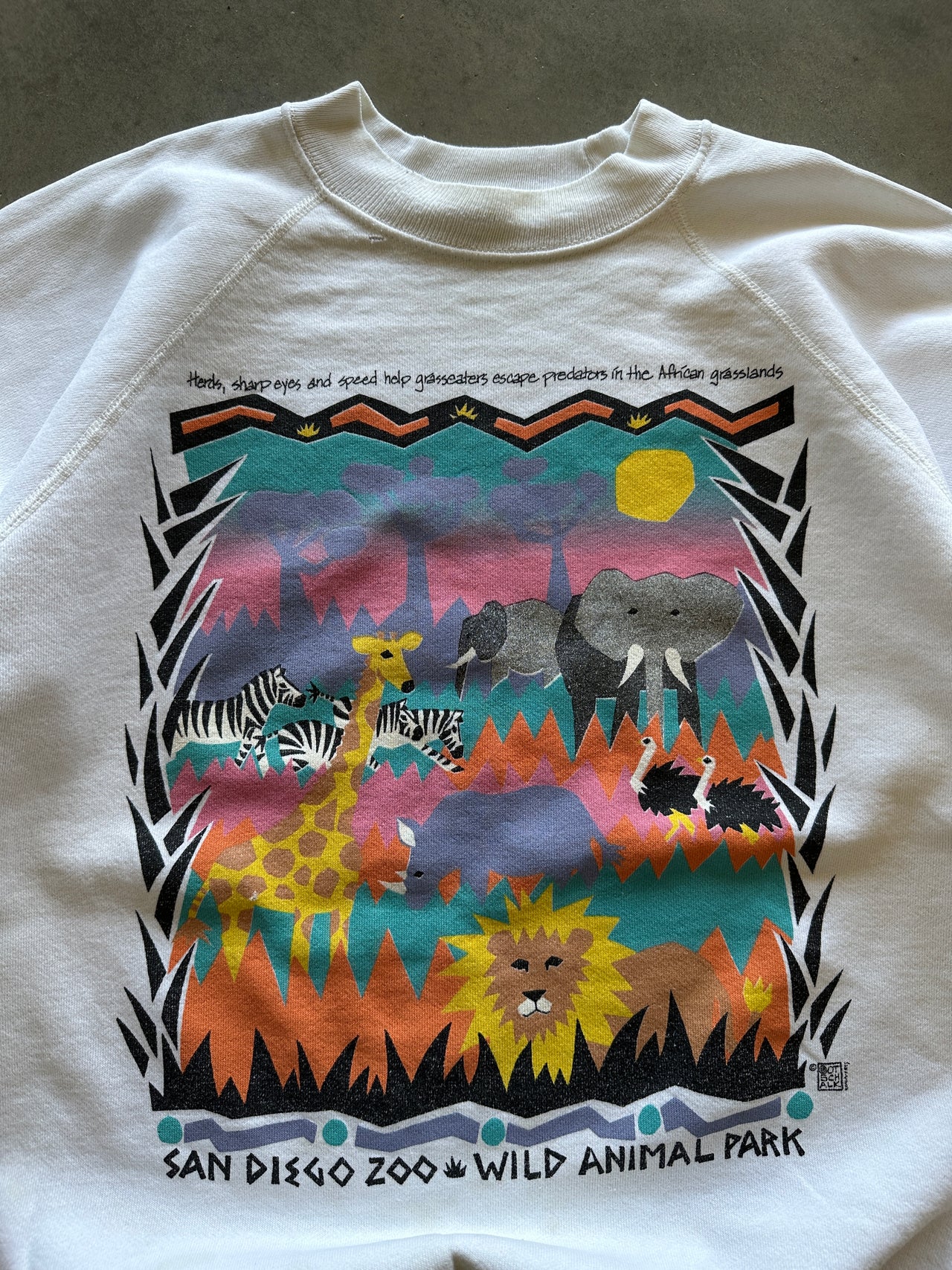 90s graphic raglan crewneck (L)