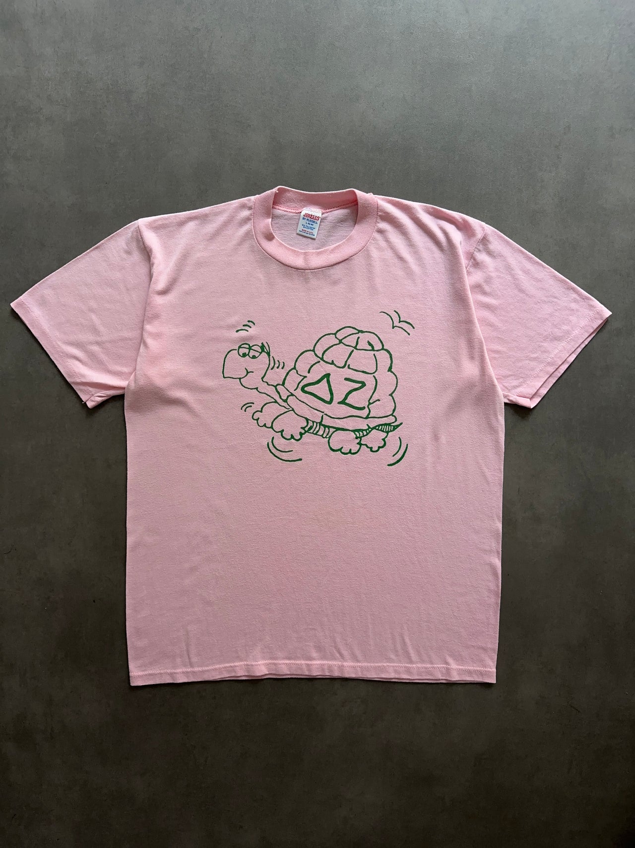 1990s turtle graphic tee (L)