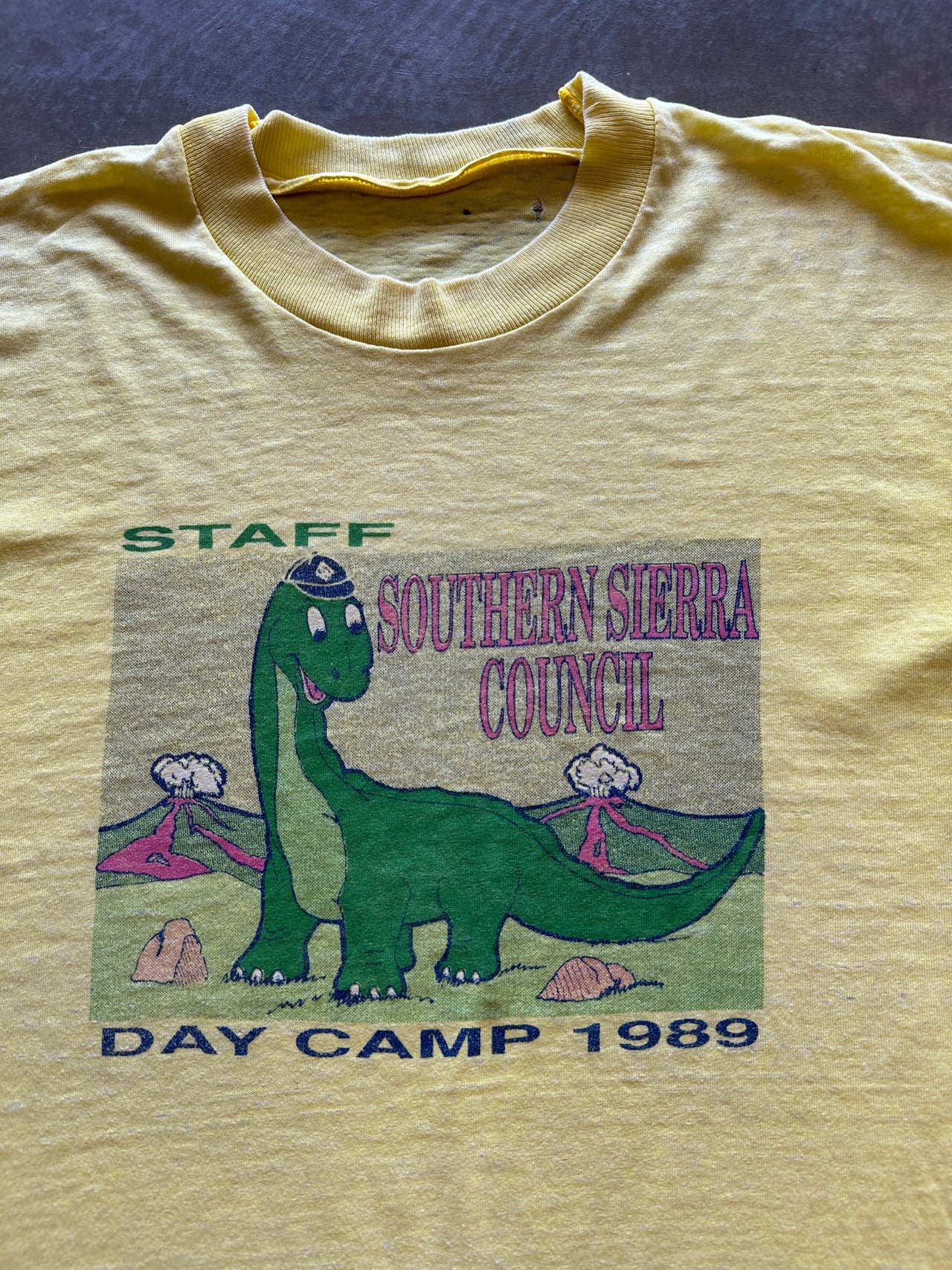 1980s Staff Summer Camp tee (L)