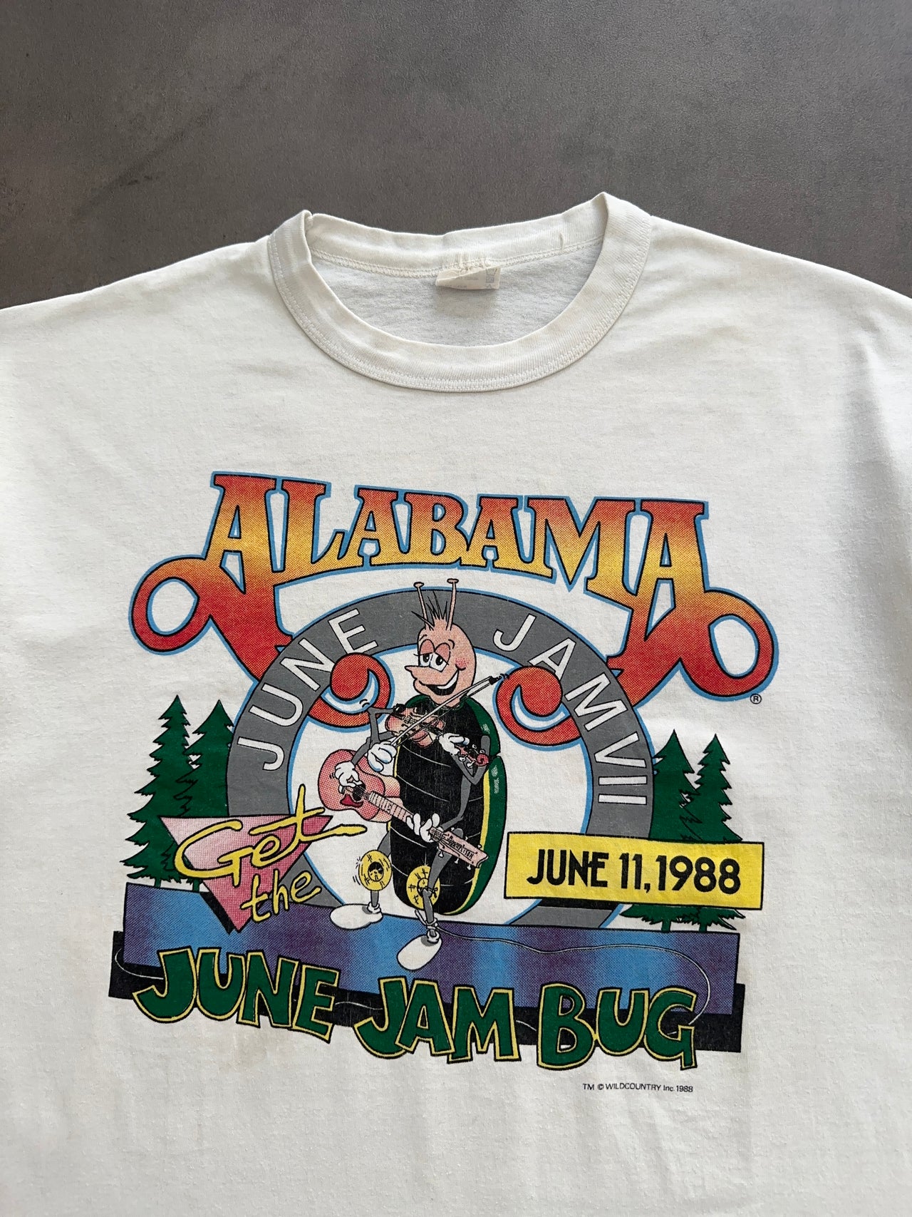 1980s Alabama June Jam tee (M)