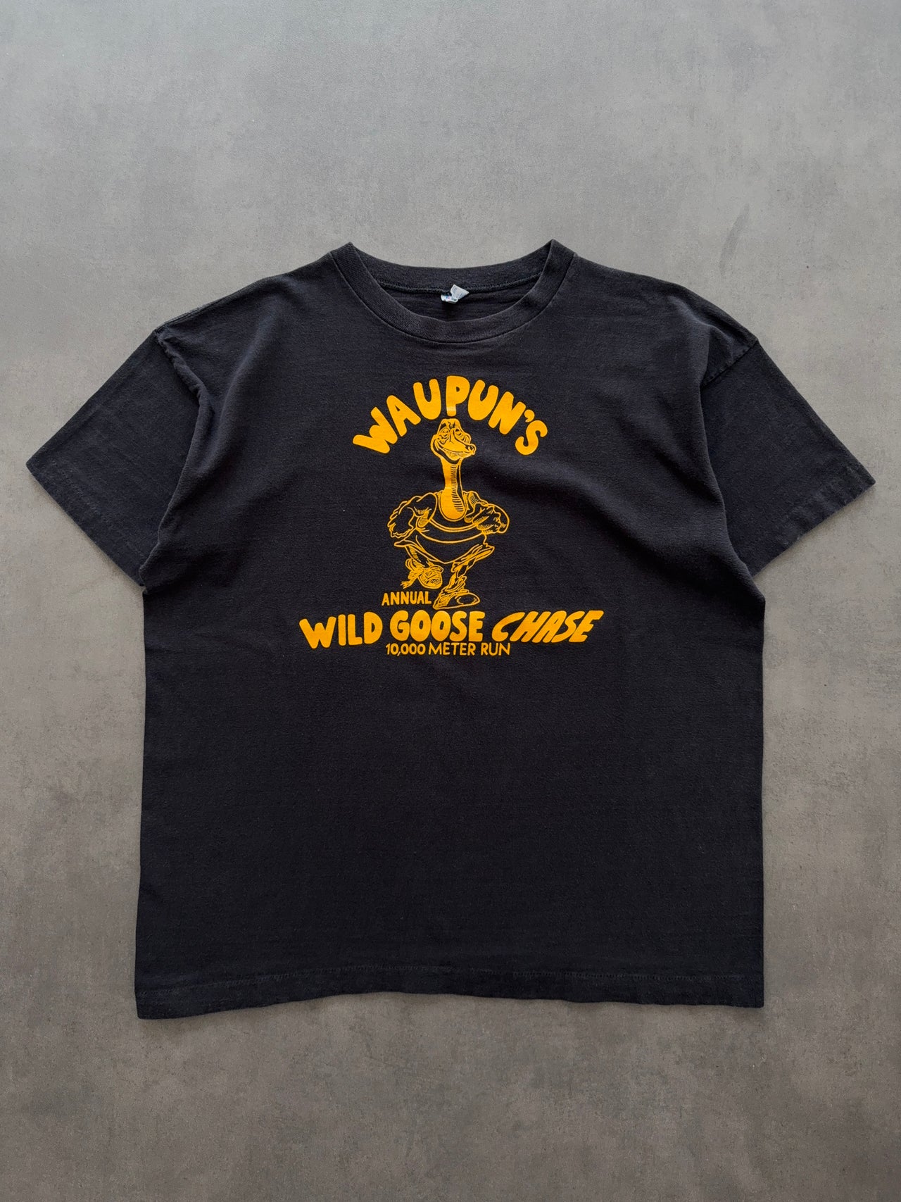 1980s Champion Waupun’s tee (L)