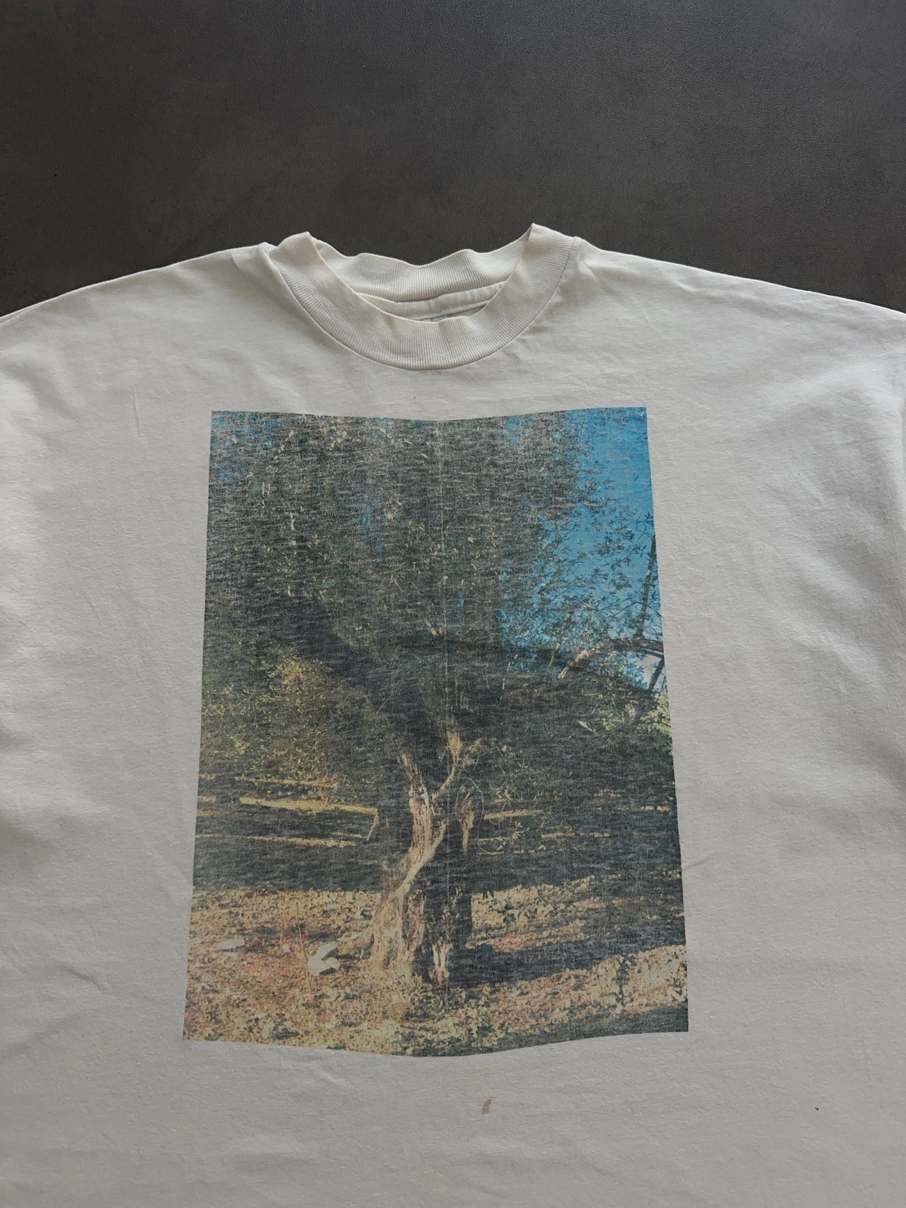 1990s olive tree tee (XL)