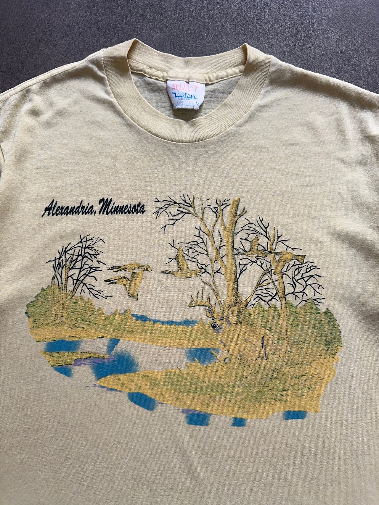 1990s Minnesota tee (M)