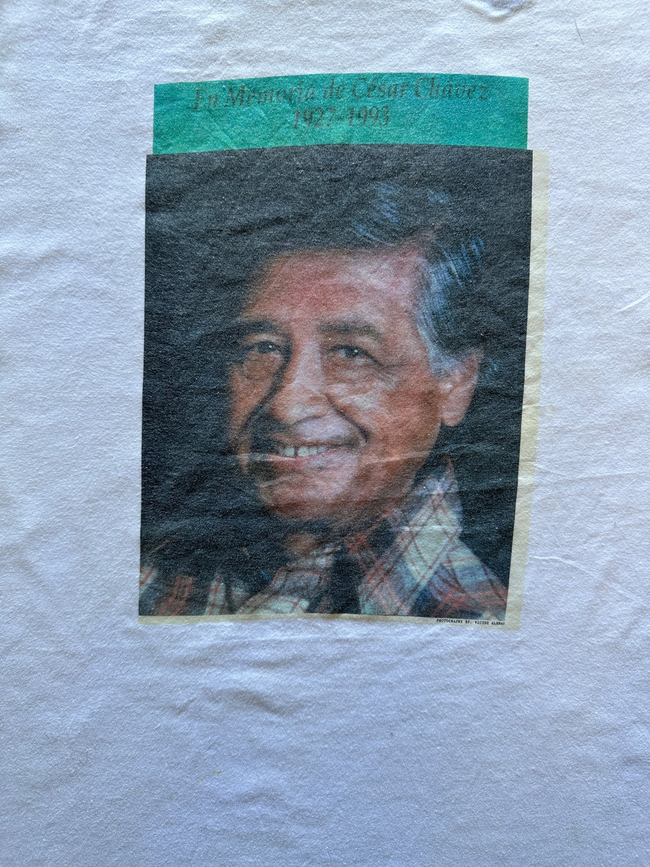 1990s graphic tee (L)