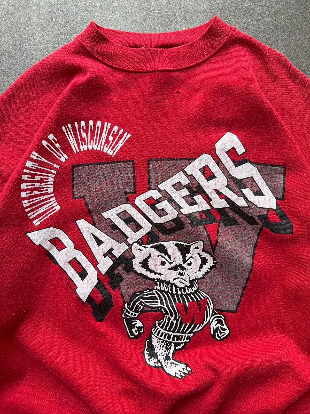 1990s University of Wisconsin crewneck (L)