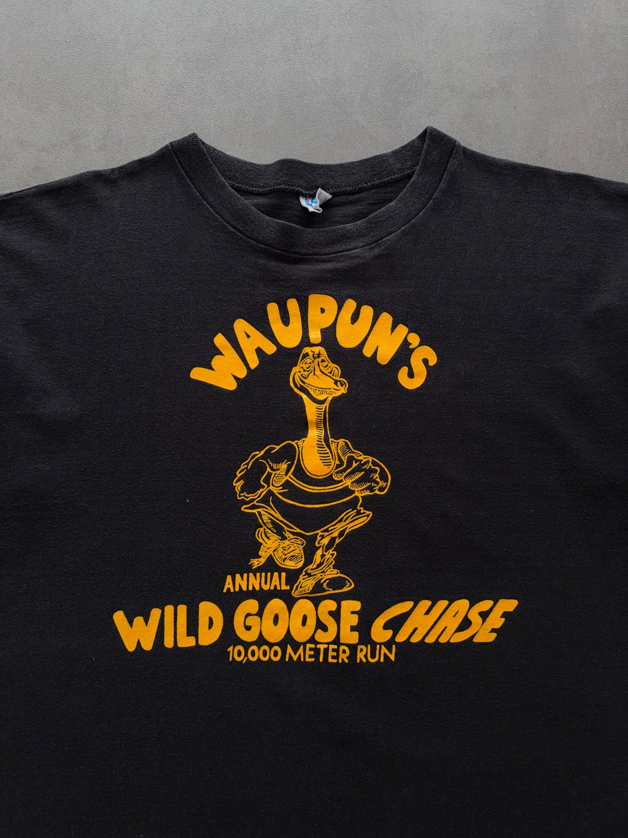 1980s Champion Waupun’s tee (L)