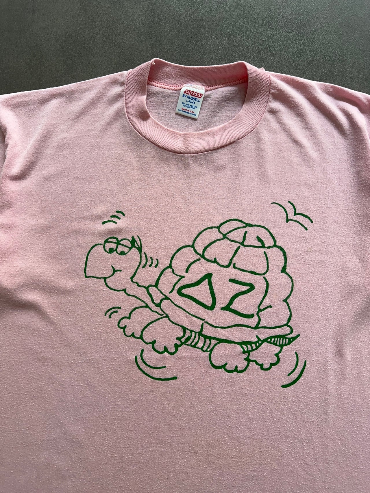 1990s turtle graphic tee (L)