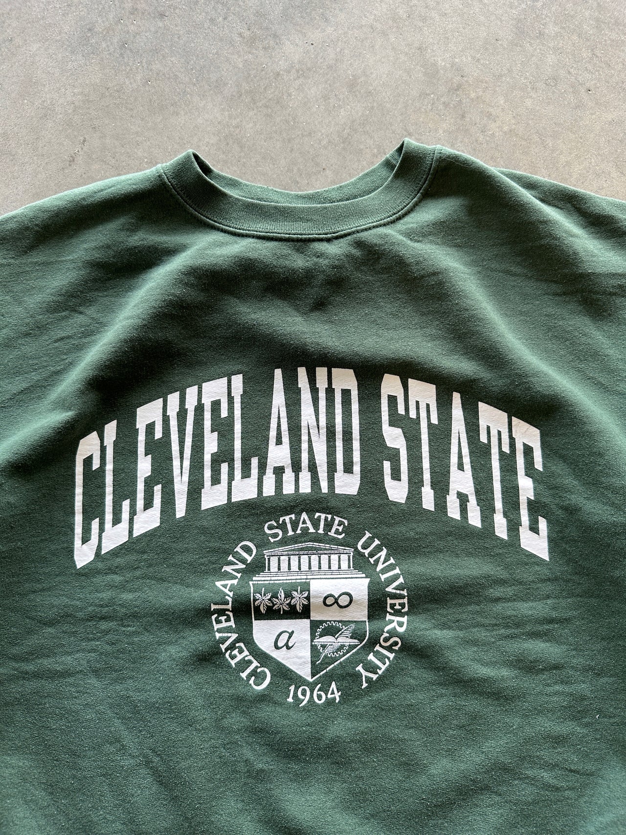 Champion crewneck (M)