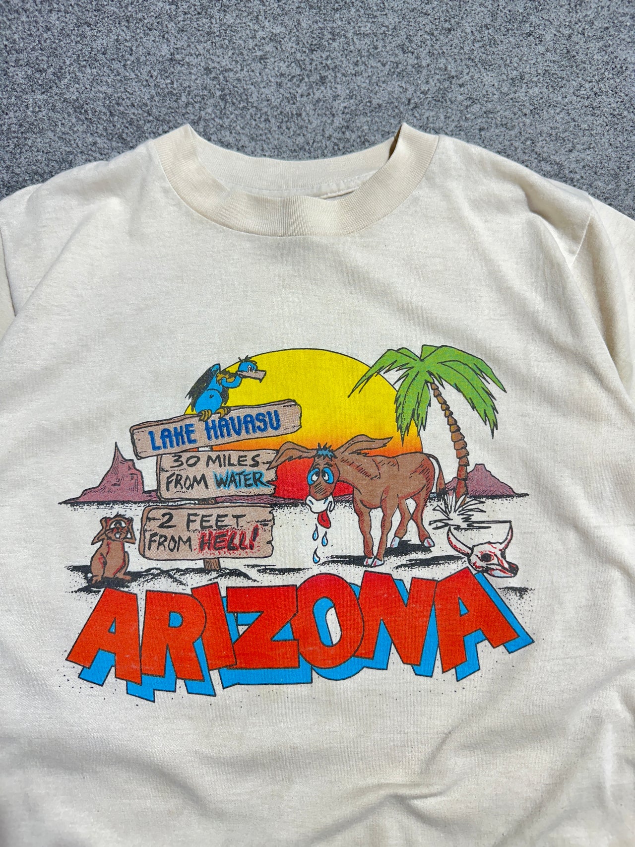 90s “Arizona” single stitch tee (M)