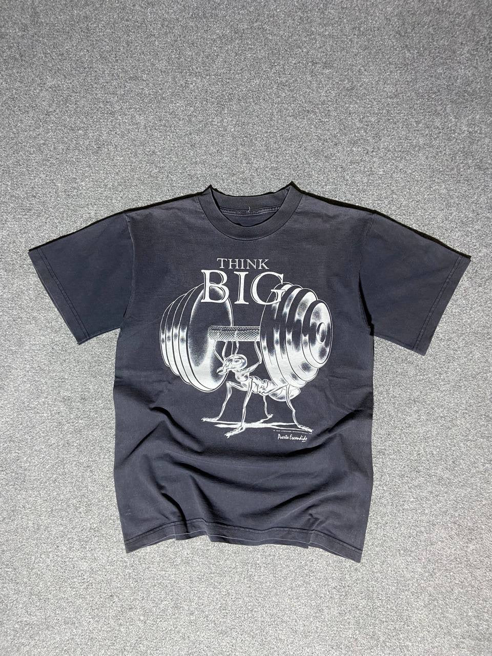 90s sunfaded graphic tee (M)