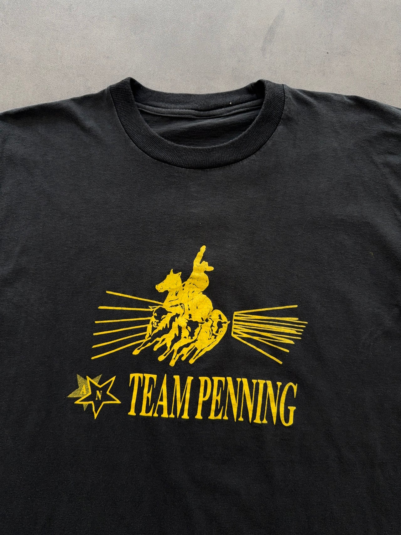 1980s Team Penning faded tee (XL)