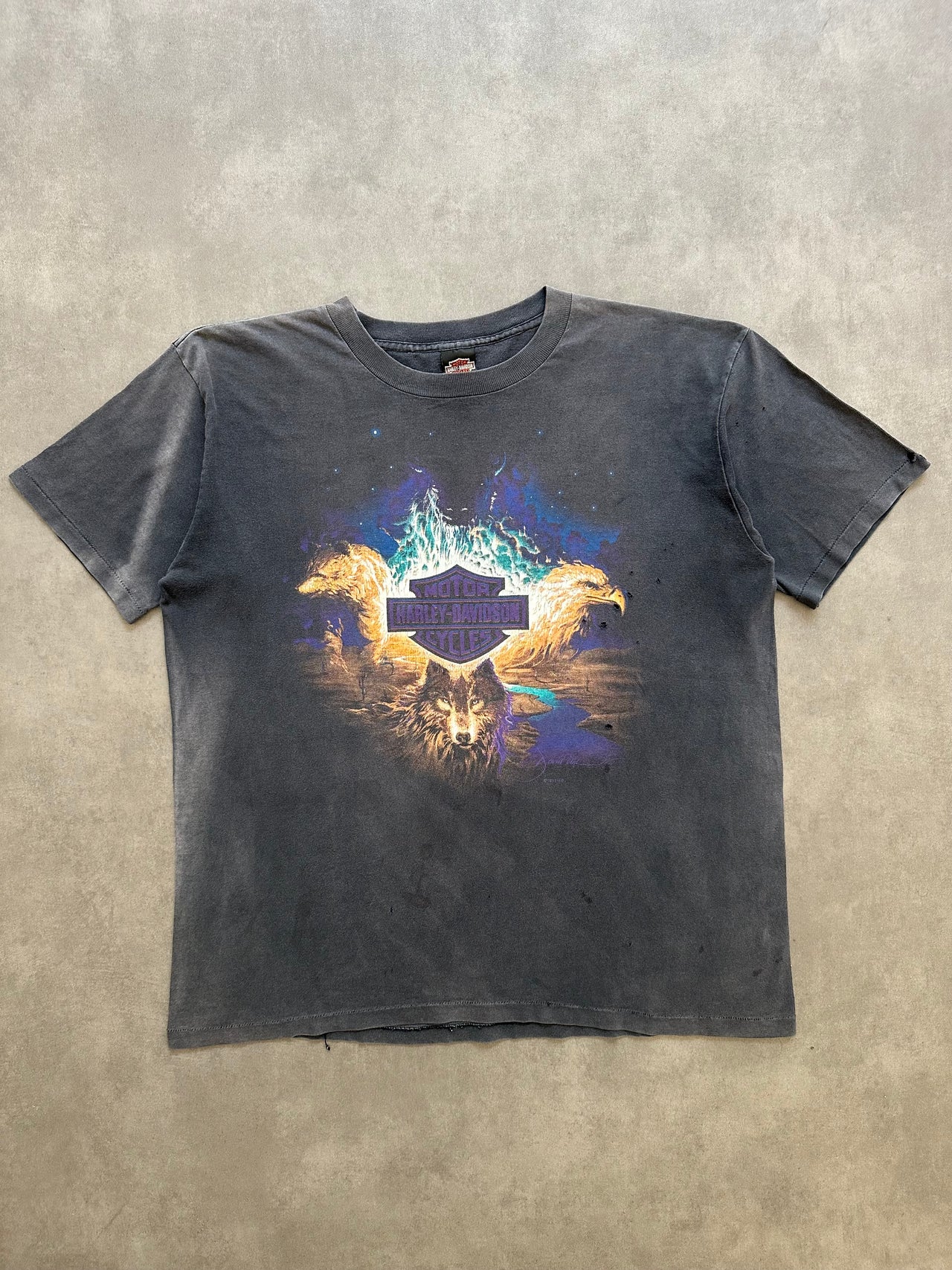 1990s Harley Davidson tee (L)