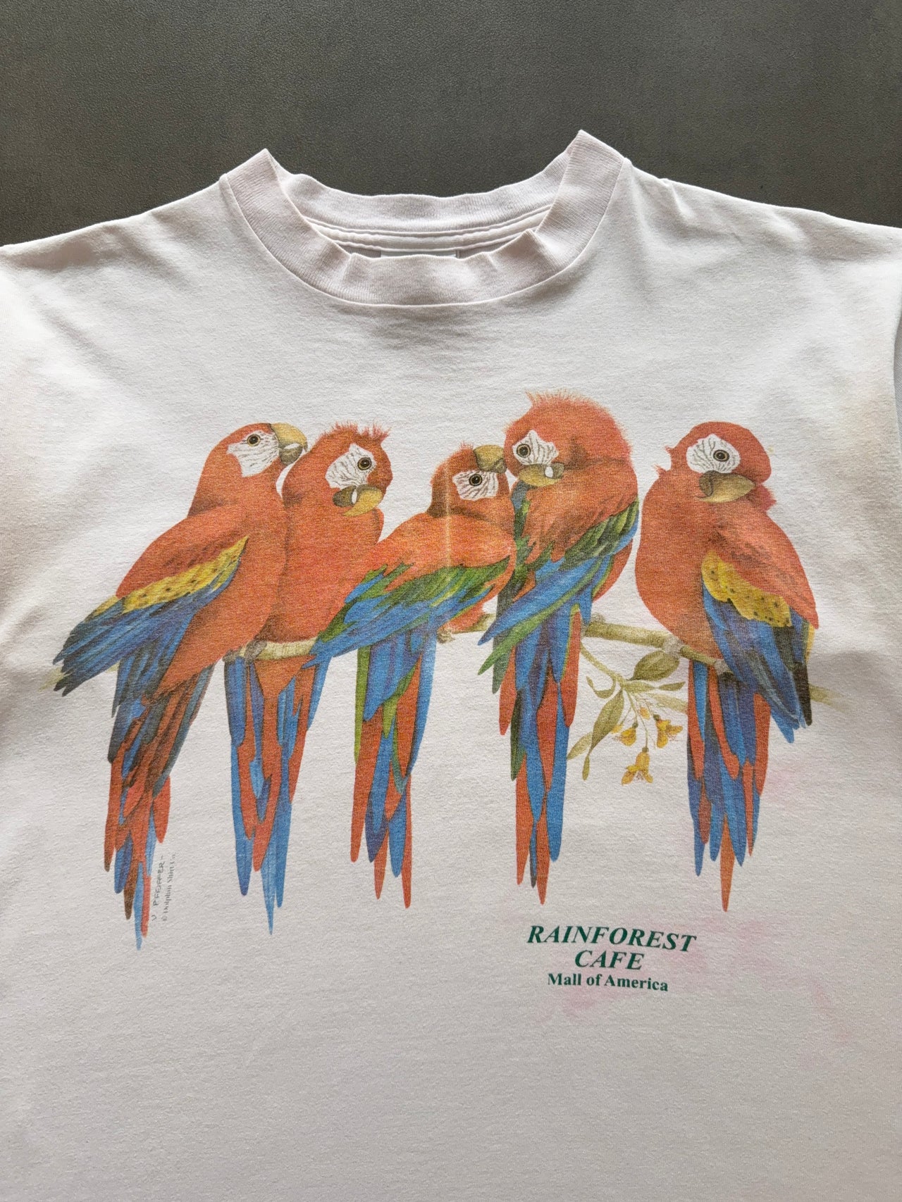 1990s Rainforest Cafe tee (M)