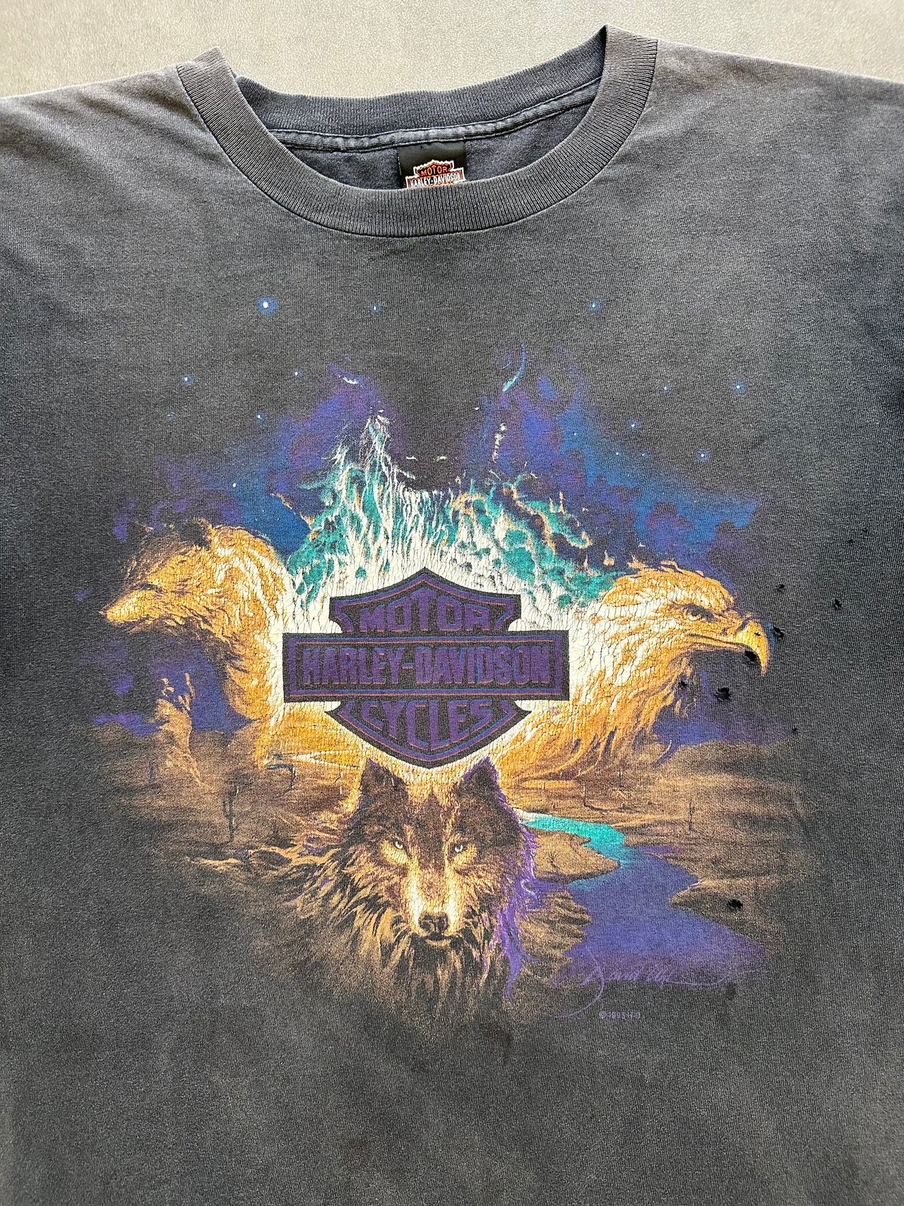 1990s Harley Davidson tee (L)