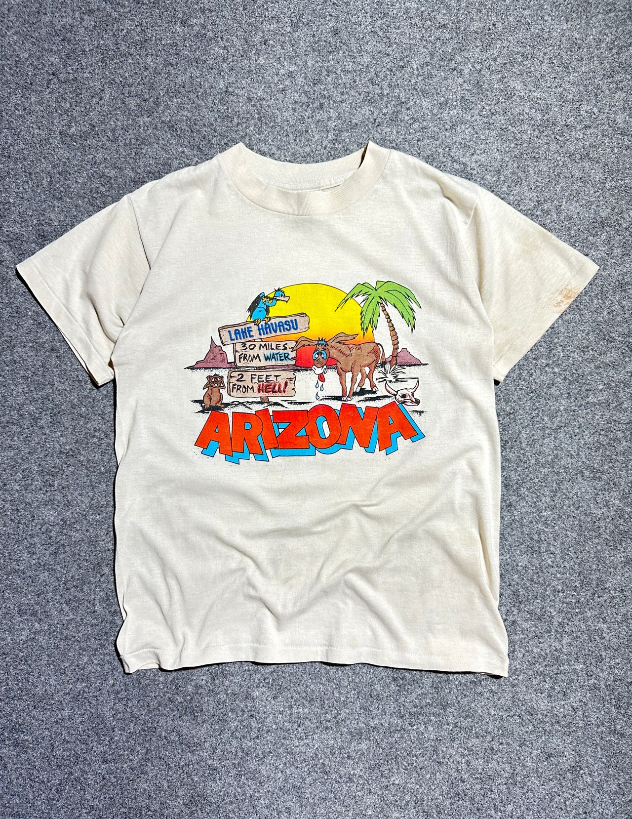 90s “Arizona” single stitch tee (M)